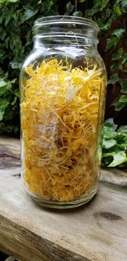 A large glass jar full of freshly picked honeysuckle blossoms.